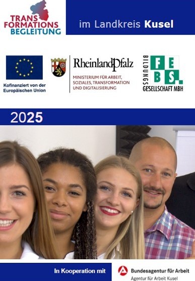 Logo Transformationsbegleitung FEBS