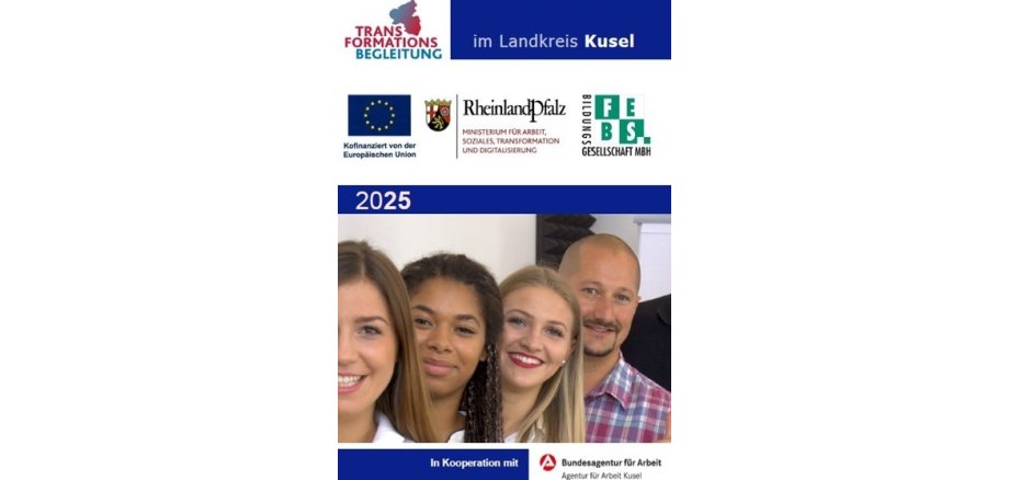 Logo Transformationsbegleitung FEBS