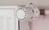 Bild Thermostat